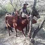 Miguel Caseres - @miguel.caseres.507679 - Instagram