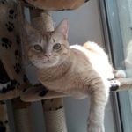 miguel cataño - @miguel_c526 - Instagram