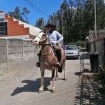 Miguel Cea - @miguel.cea.1420 - Instagram