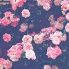 Miguel Cedillo - @miguelcedillo57 - TikTok
