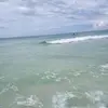 miguelcedillo846 - @miguelcedillo846 - TikTok