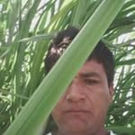 miguel cerna salinas - @miguelcernasalinas - Instagram