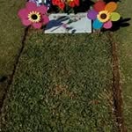 Miguel Angel Roiz Chavarin - @roizchavarin - Instagram