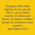 Miguel Checa Zapata - @miguelchecazapata - Instagram