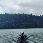 Miguel Chen - @cw__miguel - Instagram