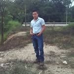 Miguel Chen - @miguelchen1514 - Instagram