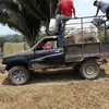 soy cardamomero - @miguel.chen6 - TikTok