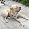 Miguel Cooper - @miguel.cooper0 - TikTok