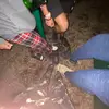 Yodi land-faded than a hoe55 - @miguel.cooper421 - TikTok