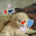 Miguel Cuenca - Facebook