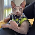 Miguel - @migueldaniel_ - Instagram