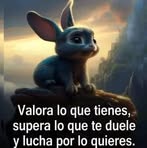 Miguel Escandon - Facebook