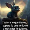 Miguel Escandon - @miguel.escandon1 - TikTok
