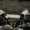 Потерявшиеся китайцы🍵 - @flood_ahhn_miguela - TikTok