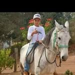 Hebert Miguel - @hebertmiguelmiranda - Instagram