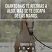 Miguel Herbert - Facebook