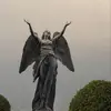 Miguel Labra - @miguel.labra83 - TikTok
