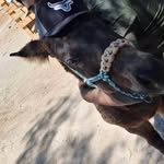 Miguel Labra - @labra.ortega - Instagram