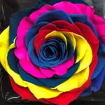 Miguel Lagos - @erikasflowers - Instagram