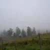 Miguel Lagos Bolívar - @milucho12345 - TikTok