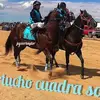 miguelloya80 - @miguelloya80 - TikTok