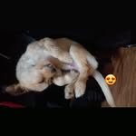 Miguel Malpartida - @malpartida_miguel - Instagram
