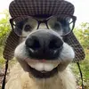 Miguelmasters - @hi.bob88 - TikTok