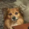 Miguel Mayorga - @miguelmayorga05 - TikTok