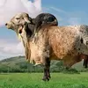 miguelmays - @miguelmays - TikTok