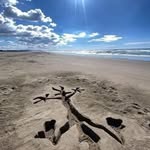 Miguel Moll Carrasco - @mmollc - Instagram