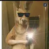 Miguel Mollinedo - @miguelmollinedo0 - TikTok