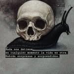 Miguel Moncada - @miguelmoncada1976 - Instagram