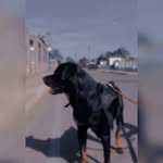 Miguel Muños - @migueldavidmunozlugo - Instagram
