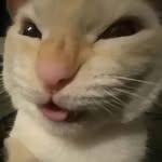 Miguel Muños - @miguel_mk25800 - Instagram