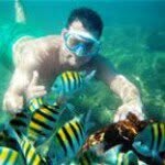 Miguel Nova - @miguel.nova.58 - Instagram