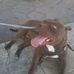Miguel Nuncio - Facebook