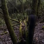 Miguel Ochoa - @miguelochoa.00 - Instagram