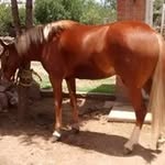 Miguel Olalde - @olalde7378 - Instagram