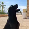 Miguel Olmo - @miguel.olmo49 - TikTok