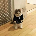 Miguel Paramo - @_migueparamo - Instagram