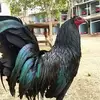 Miguel Partida - @miguelpartida14 - TikTok