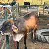 Miguel Partida - @miguel.partida24 - TikTok
