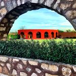 Miguel Partida - @miguelpartida73 - Instagram