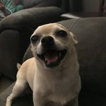 Miguel Payne - @miggspage - Instagram