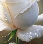 Miguel Pinzon - Facebook