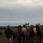 Miguel Pons - @miguelponsdelahaba - Instagram