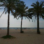 Miguel Pons - @m_pons - Instagram