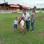 Miguel Quito - @miguel.quito.5036 - Instagram