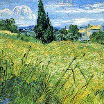 Miguel rascon - @miguelrascon71 - Instagram