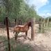 Miguel Rascon - Facebook